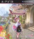 Atelier Rorona - The Alchemist of Arland (PS3)